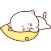 A C