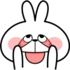 Spoiled Rabbit Face2 B 7