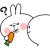 Spoiled Rabbit Plump B 7