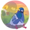 Pigeon 2 4