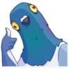 Pigeon 2 5
