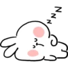 Spoiled Rabbit Everyday B 7