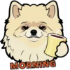 MORNING