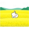 Spoiled Rabbit "Summer & Spring" 8