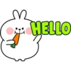 Spoiled Rabbit Plump 7