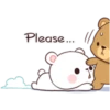BEAR COUPLE 15