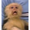 Cute memes 9