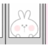 Spoiled Rabbit Look 15