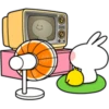 Spoiled Rabbit "Summer & Spring" 9