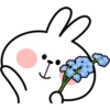 Spoiled Rabbit Face2 B 13