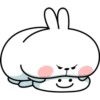 Spoiled Rabbit Plump B 15
