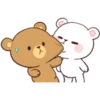 BEAR COUPLE 16