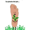 La planta del pie...
0