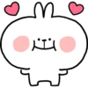 Spoiled Rabbit Everyday B 10