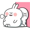 Spoiled Rabbit Plump 12