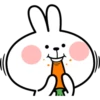 Spoiled Rabbit Face2 B 16