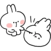 Spoiled Rabbit Everyday B 11