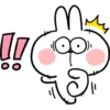 Spoiled Rabbit Everyday B 12