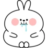 Spoiled Rabbit Plump 15