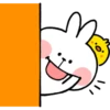 Spoiled Rabbit Everyday 14