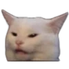 Cats 11