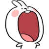 Spoiled Rabbit Everyday B 13