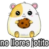 › 3 M CIELO no llores jotito