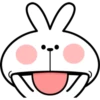 Spoiled Rabbit Face2 14