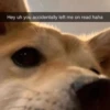 Hey uh you accidentally left me on read haha