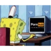 Porn hub
community