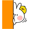 Spoiled Rabbit Everyday 18