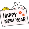 Spoiled Rabbit Happy New Year 2019 18