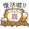 白爛貓26☆愛搞鬼.靜1 13
