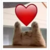 Heart 6