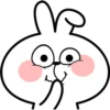 Spoiled Rabbit Face2 17
