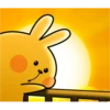 Spoiled Rabbit Look B 21