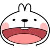 Spoiled Rabbit Face2 19