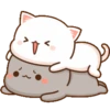 MOCHI MOCHI 23