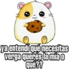 ya entendi qué necesitas verga querés la míao qué??