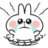 Spoiled Rabbit Everyday B 16