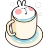 Spoiled Rabbit Look B 27