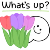 What's up?
