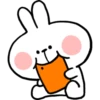 Spoiled Rabbit Everyday B 19