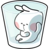 Spoiled Rabbit Look B 29