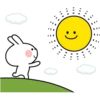 Spoiled Rabbit Summer 26