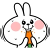 Spoiled Rabbit Face2 B 28