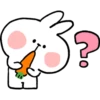 Spoiled Rabbit Everyday B 20