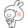 Spoiled Rabbit Look 27
