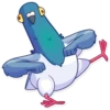 Pigeon 2 16