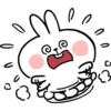 Spoiled Rabbit Everyday B 21